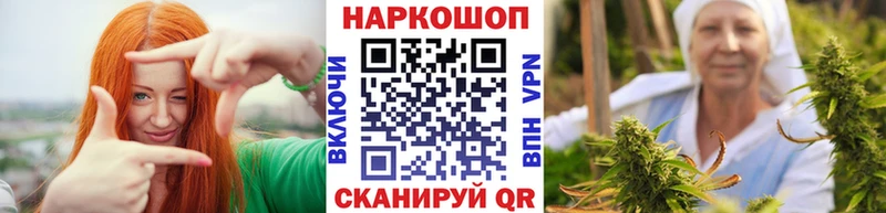 A PVP Мураши