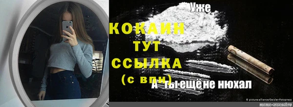 мдпв Струнино
