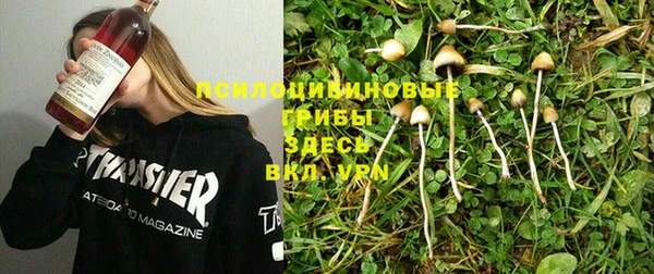 прущая мука Дмитров