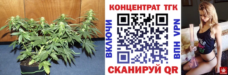 продажа наркотиков  Мураши  ТГК жижа 