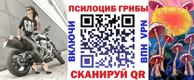 Галлюциногенные грибы Psilocybine cubensis  купить  цена  Мураши 